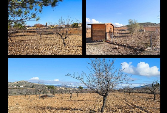 Sale - Detached Villa -
Canada Del Trigo