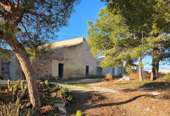 Herverkoop - Herenhuis -
Torre Del Rico