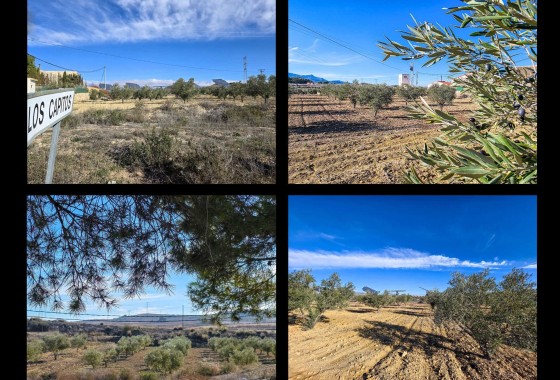 Herverkoop - Herenhuis -
Torre Del Rico