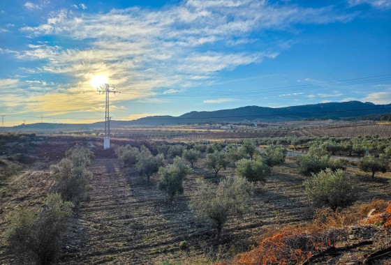Herverkoop - Herenhuis -
Torre Del Rico