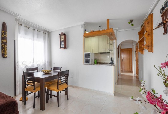 Sprzedaż - Apartament mieszkanie -
Torrevieja - Estacion de autobuses