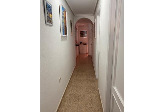 Sprzedaż - Apartament mieszkanie -
Torrevieja - Estacion de autobuses