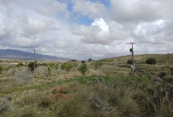 Herverkoop - Vrijstaande Villa -
La Zarza