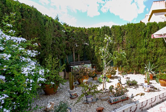 Resale - Wohnung Appartement -
Playa Flamenca