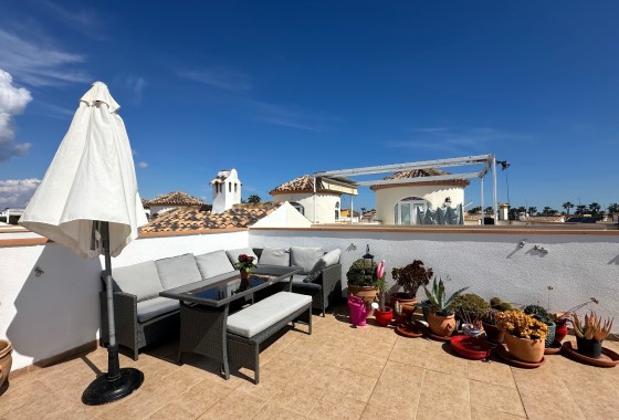 Sprzedaż - Willa wolnostojąca -
Guardamar del Segura - El Raso