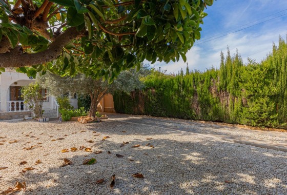 Resale - Freistehende Villa -
Torrevieja - El chaparral
