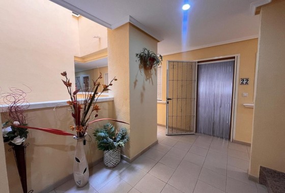 Wiederverkauf - Wohnung / Apartment -
Algorfa