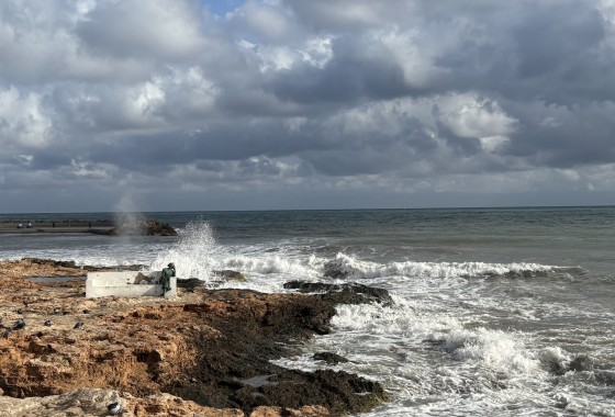 Sprzedaż - Apartament / Mieszkanie -
Torrevieja