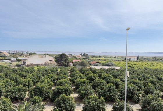 Revente - Appartement -
Los Montesinos