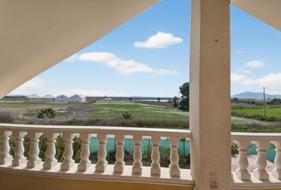 Venta - Finca Propiedad rural -
Crevillente