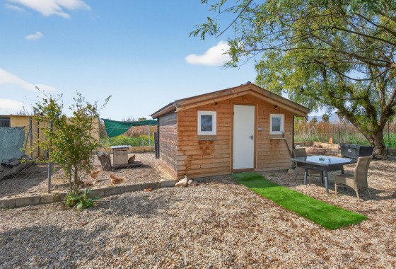 Venta - Finca Propiedad rural -
Crevillente