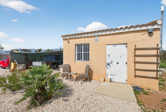 Venta - Finca Propiedad rural -
Crevillente