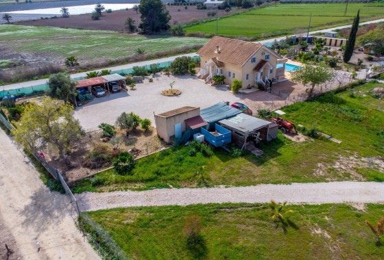 Venta - Finca Propiedad rural -
Crevillente