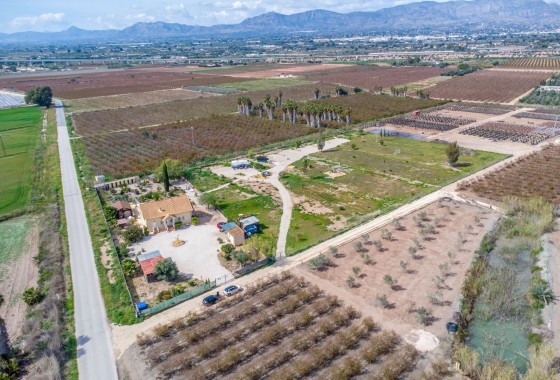 Venta - Finca Propiedad rural -
Crevillente