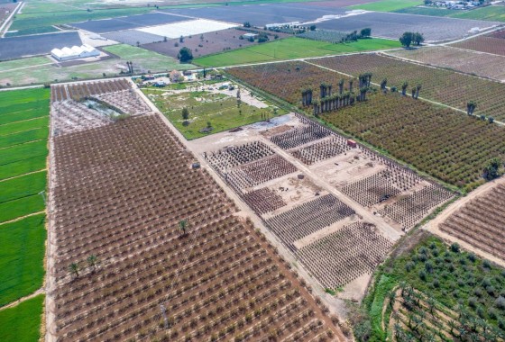 Venta - Finca Propiedad rural -
Crevillente