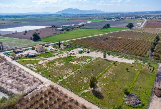 Venta - Finca Propiedad rural -
Crevillente