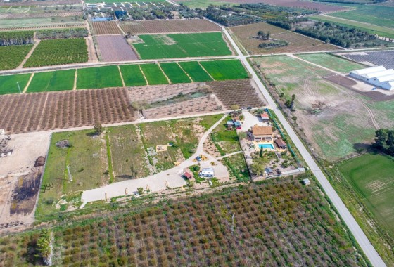 Venta - Finca Propiedad rural -
Crevillente