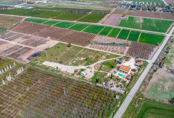 Venta - Finca Propiedad rural -
Crevillente
