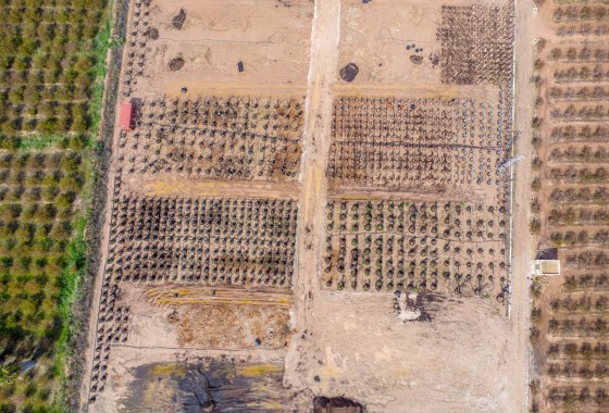 Venta - Finca Propiedad rural -
Crevillente