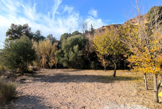 Herverkoop - Finca / Landhuis -
Fortuna