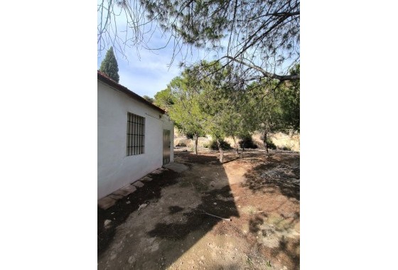 Herverkoop - Finca / Landhuis -
Fortuna