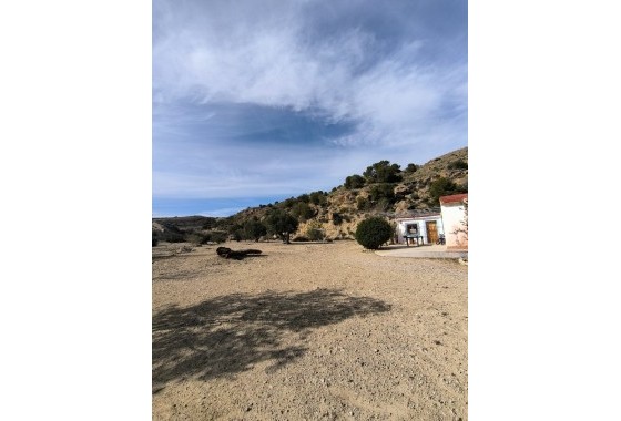 Herverkoop - Finca / Landhuis -
Fortuna