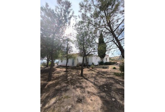 Herverkoop - Finca / Landhuis -
Fortuna