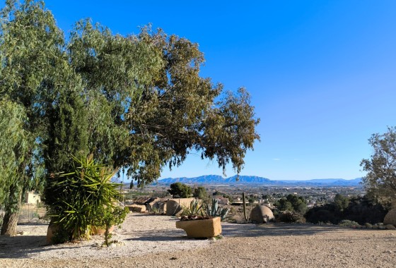 Herverkoop - Finca / Landhuis -
Fortuna