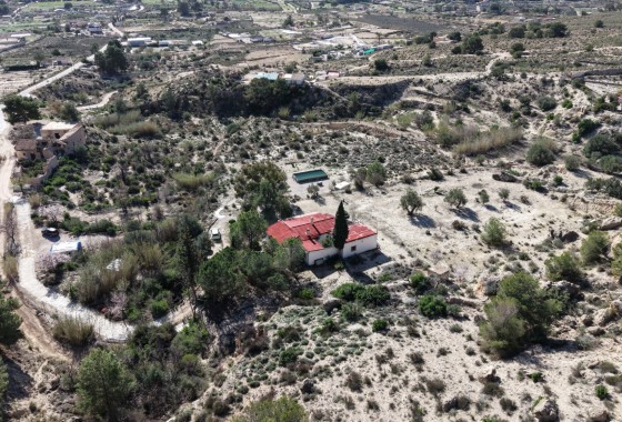 Herverkoop - Finca / Landhuis -
Fortuna