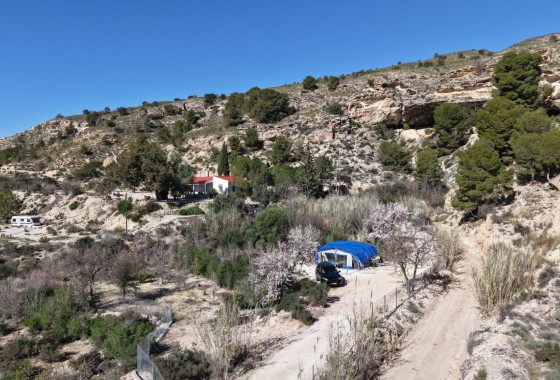 Herverkoop - Finca / Landhuis -
Fortuna