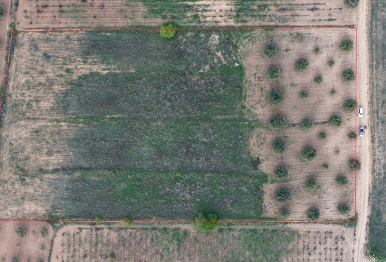 Sale - Plot Land -
Jumilla