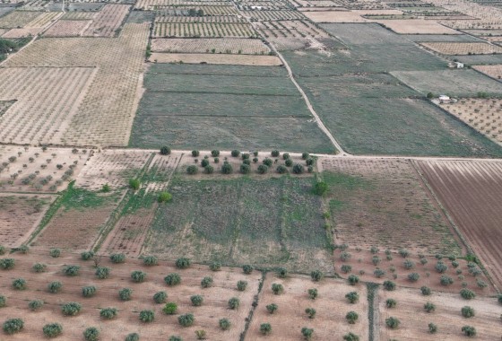 Sale - Plot Land -
Jumilla