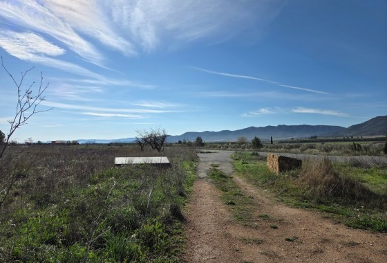 Sprzedaż - Działka / Grunt -
Yecla