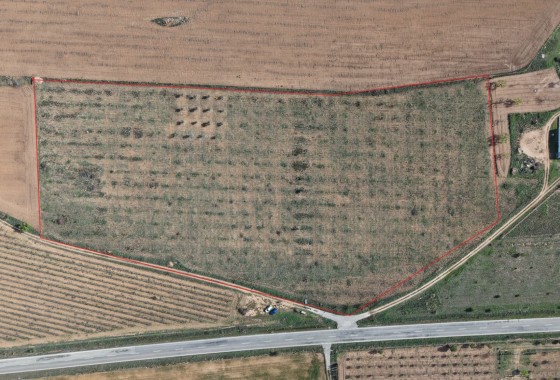 Sprzedaż - Działka / Grunt -
Yecla