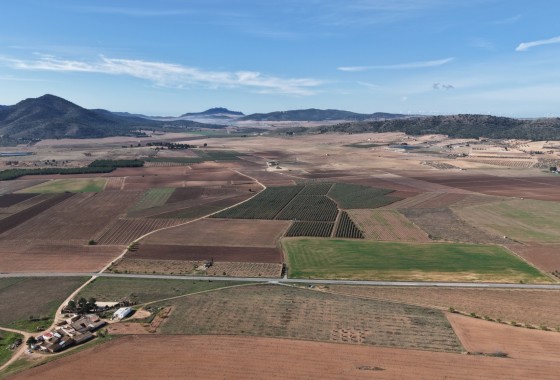 Sprzedaż - Działka / Grunt -
Yecla