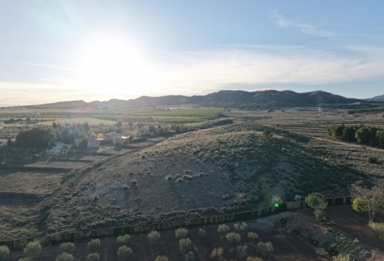 Revente - Parcelle Terrain -
Yecla