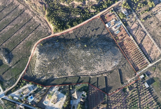 Revente - Parcelle Terrain -
Yecla