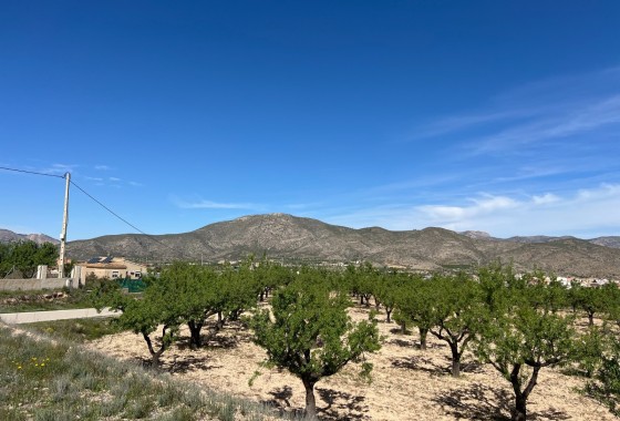 Sprzedaż - Działka / Grunt -
Hondón de los Fráiles