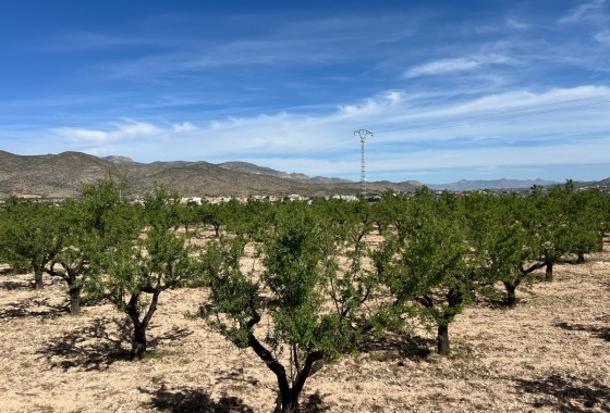 Sprzedaż - Działka / Grunt -
Hondón de los Fráiles