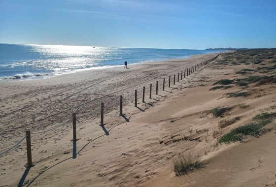 Revente - Appartement -
Guardamar del Segura - Urbanizaciones