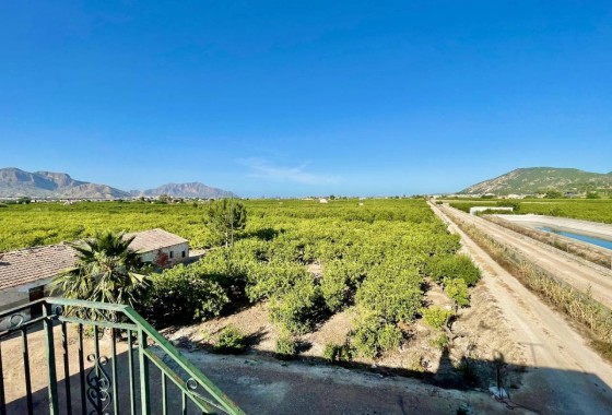 Wiederverkauf - Finca / Landhaus -
Orihuela