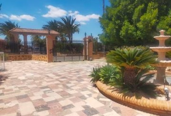 Sprzedaż - Willa wolnostojąca -
Elche