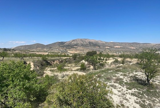 Sprzedaż - Willa wolnostojąca -
La Romana