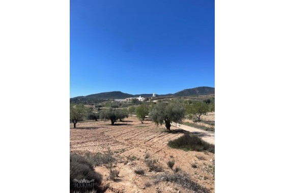 Sprzedaż - Finca nieruchomość wiejska -
Raspay - Raspay Murcia