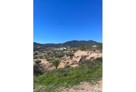 Sprzedaż - Finca nieruchomość wiejska -
Raspay - Raspay Murcia