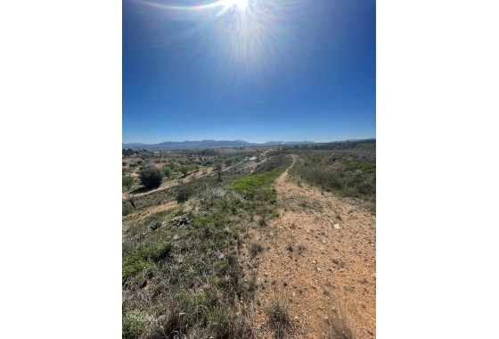 Sprzedaż - Finca nieruchomość wiejska -
Raspay - Raspay Murcia