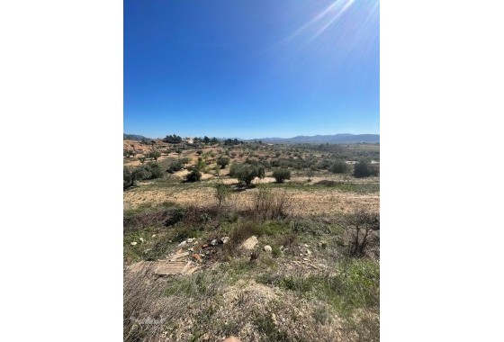 Sprzedaż - Finca nieruchomość wiejska -
Raspay - Raspay Murcia