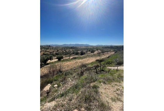 Sprzedaż - Finca nieruchomość wiejska -
Raspay - Raspay Murcia
