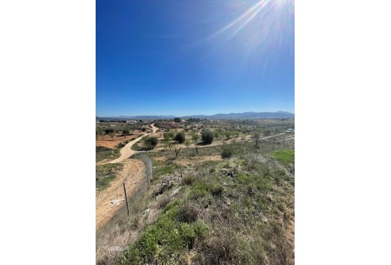 Sprzedaż - Finca nieruchomość wiejska -
Raspay - Raspay Murcia