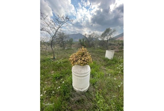 Sale - Finca Country Property -
El Cantón